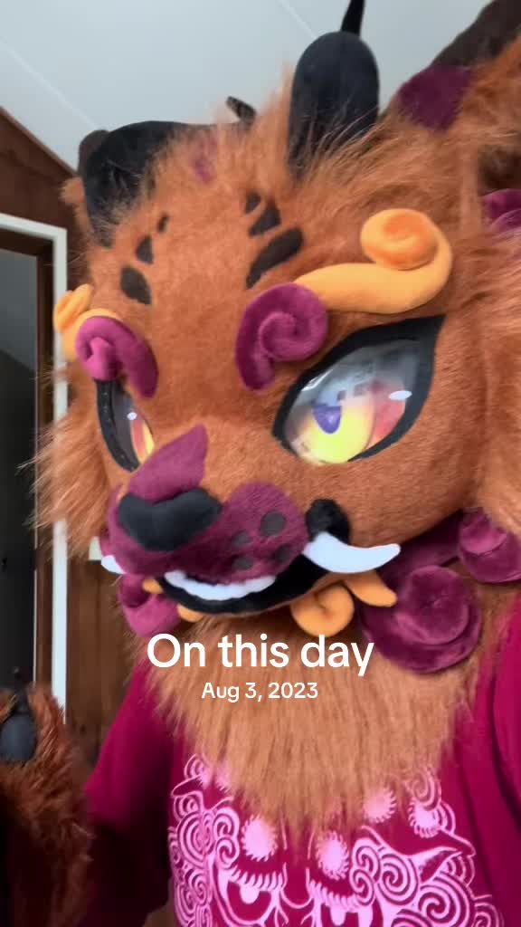@Shangfudog
