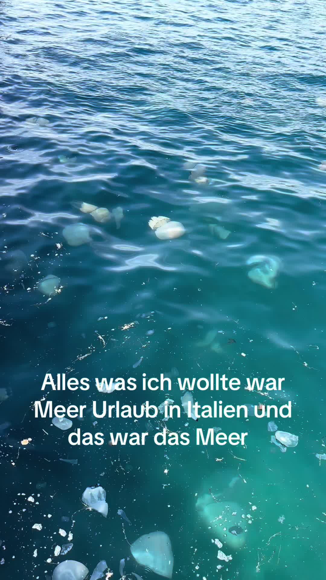 @Lara