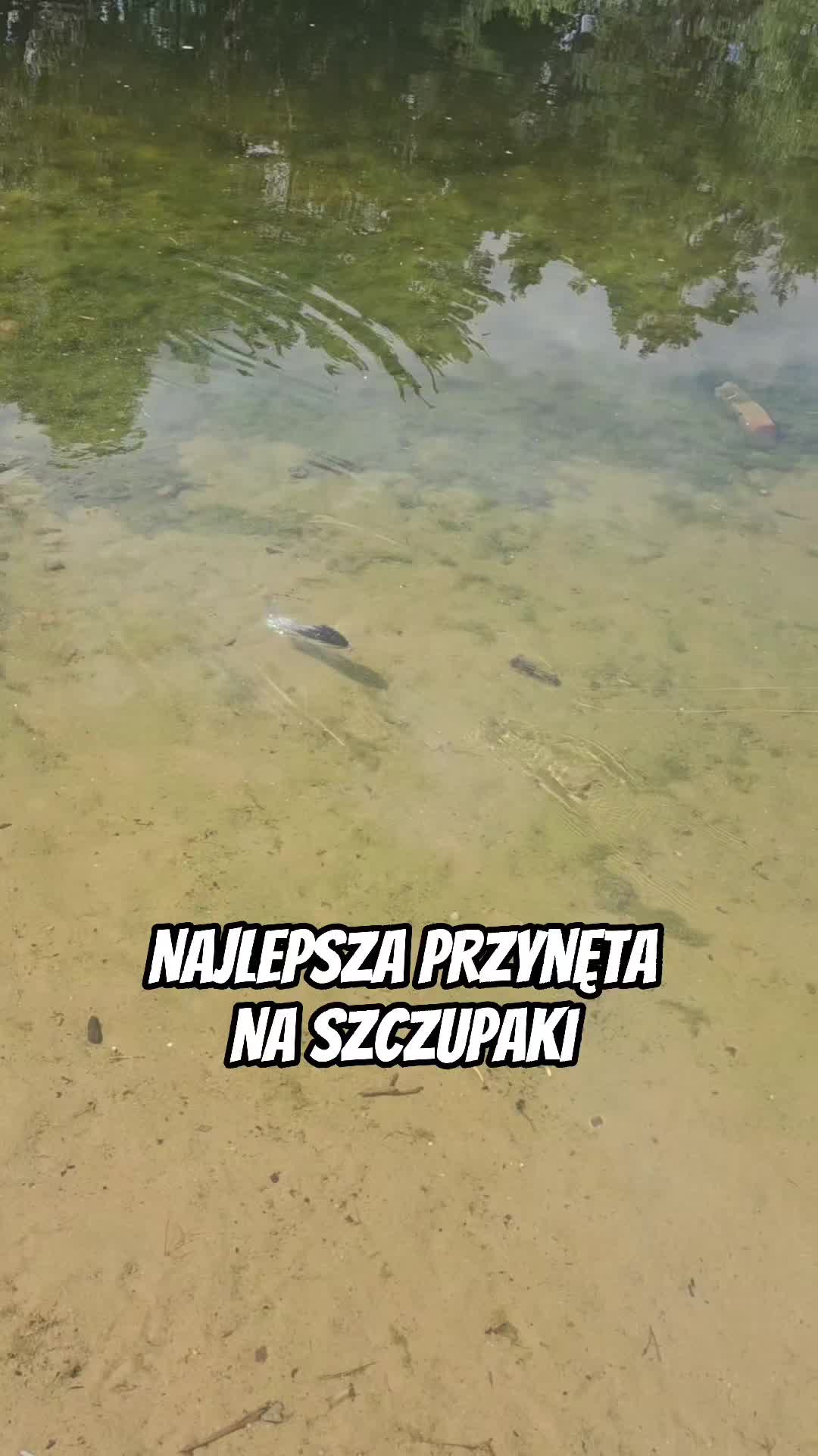 @mfly_lures