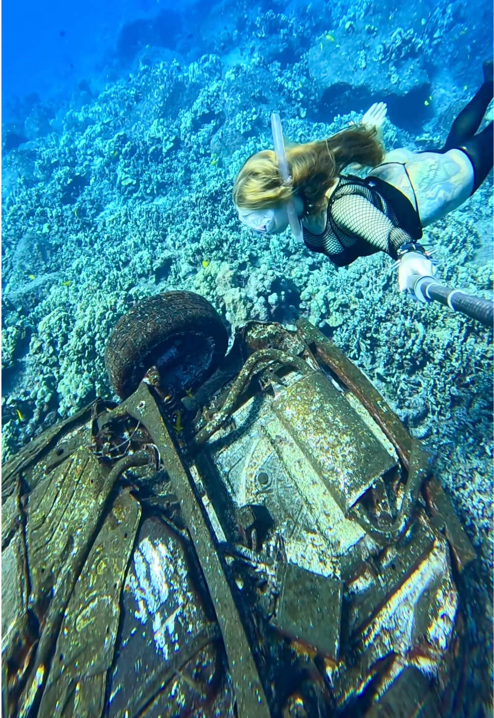 @Coralia Dives 🧜&zwj;♀️