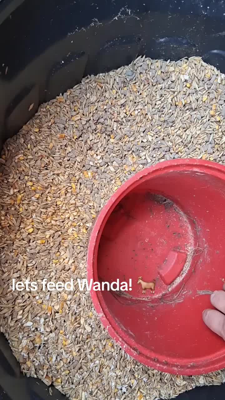 @Taylor | Sah{farm}m