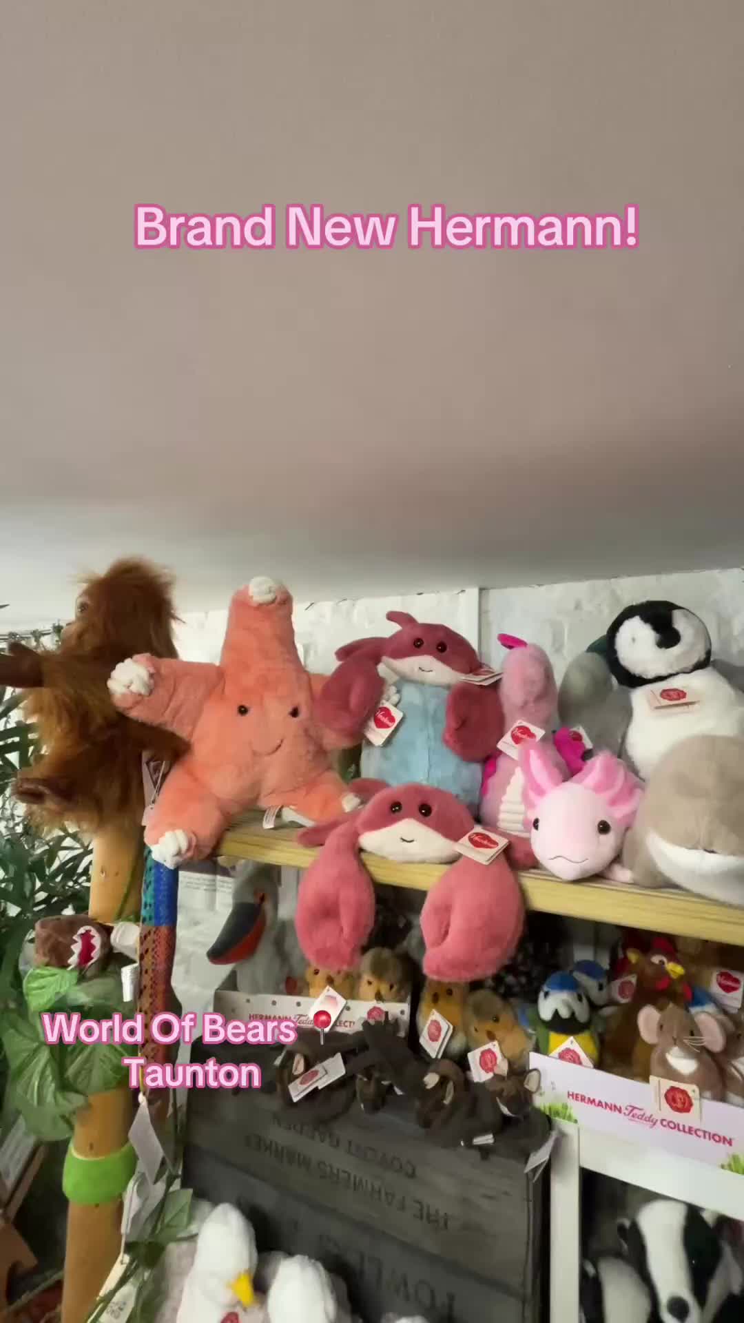 @World of Bears