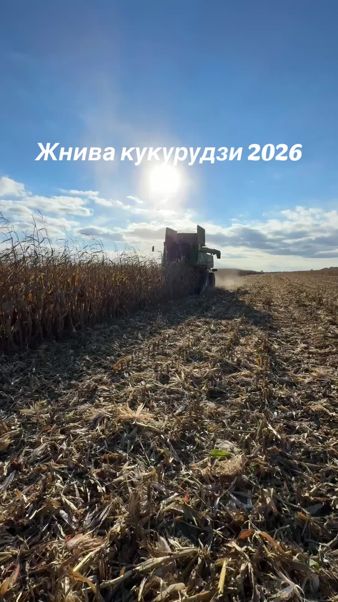 @Sasha🇺🇦🌾🌾🌾