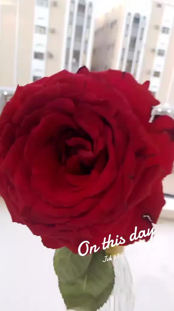 @🥷🇵🇰Fiza Khan🛫🦁🏏🪔