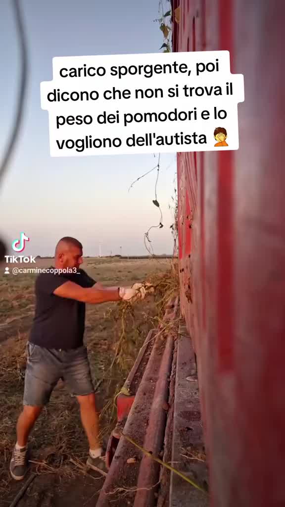 @carminecoppola3_