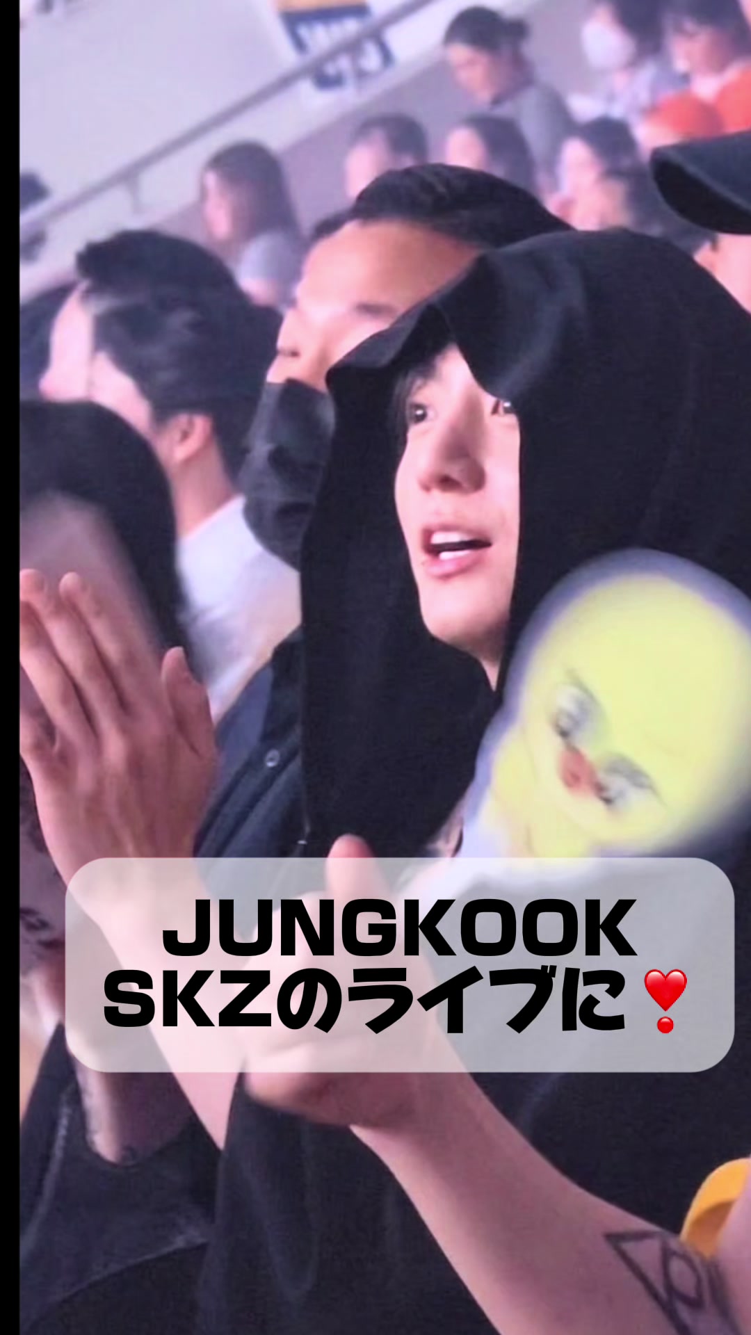 @ijjk