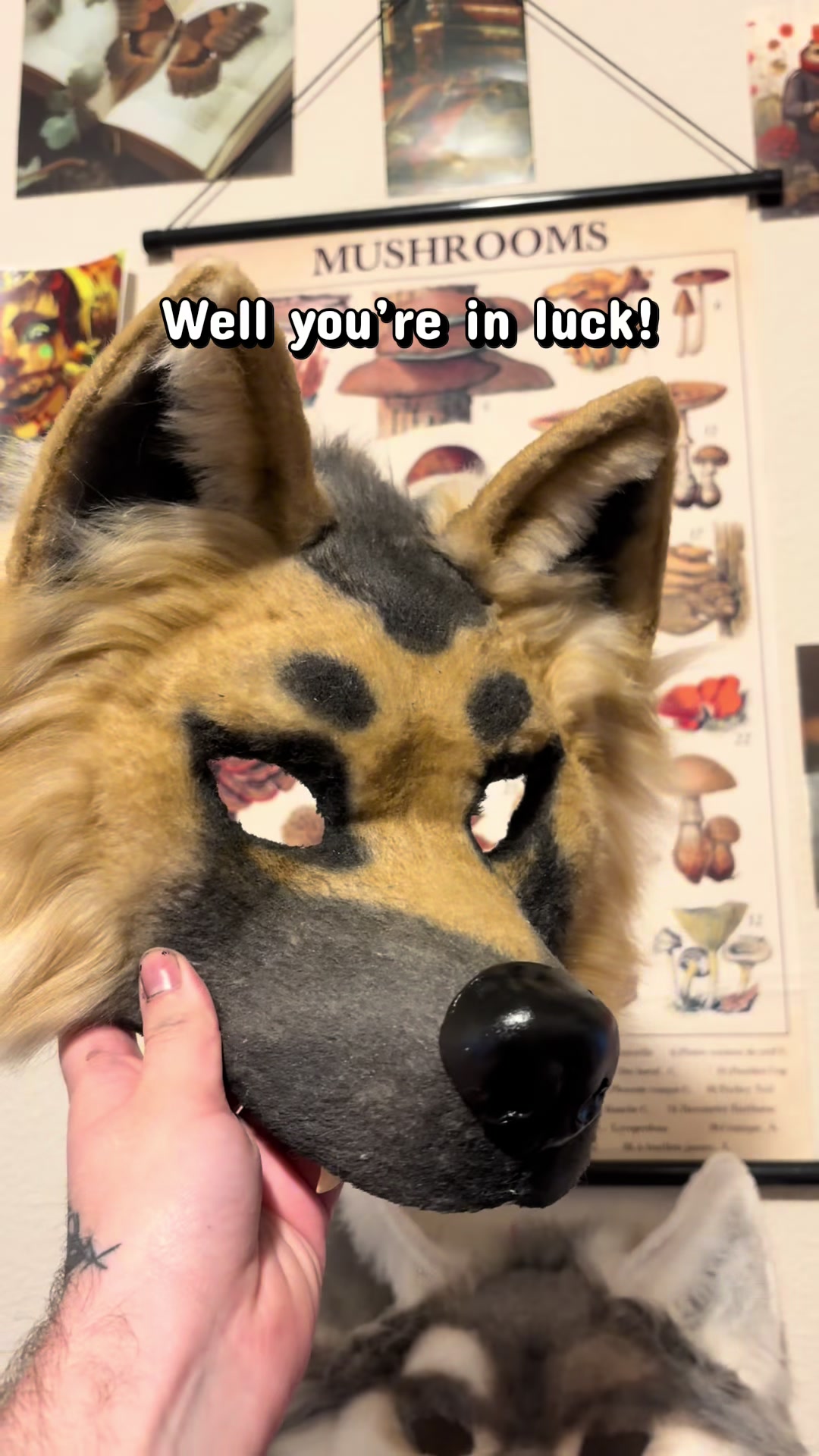 @RoadKill Creations Fursuits
