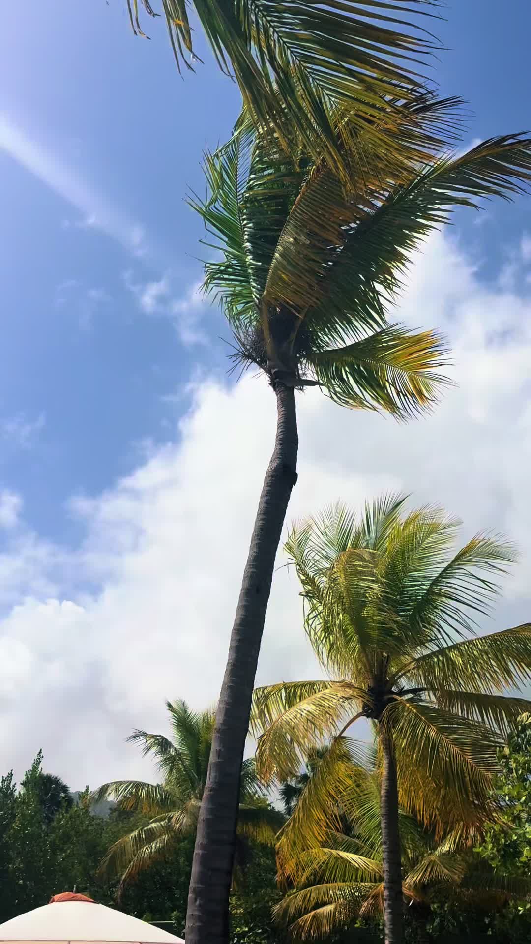 @jillimeg