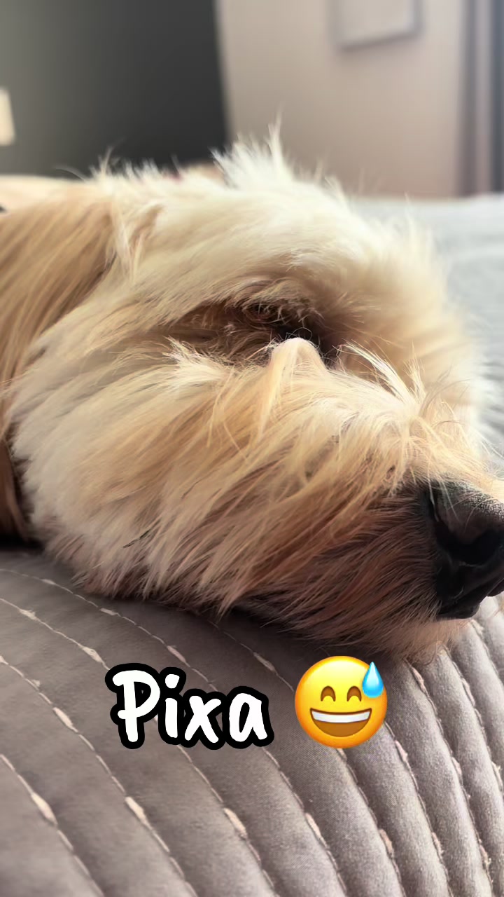 @Beyli