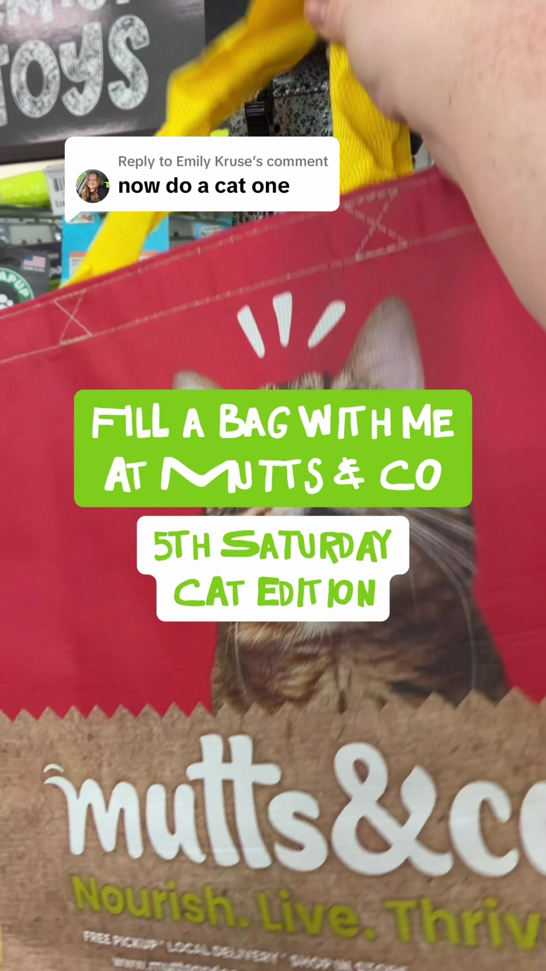 @Mutts & Co.