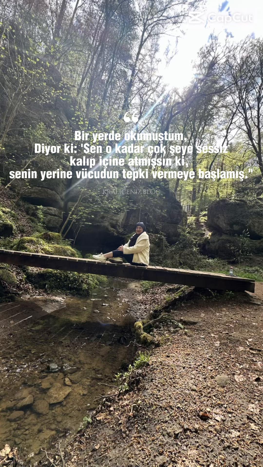 @meral_songul