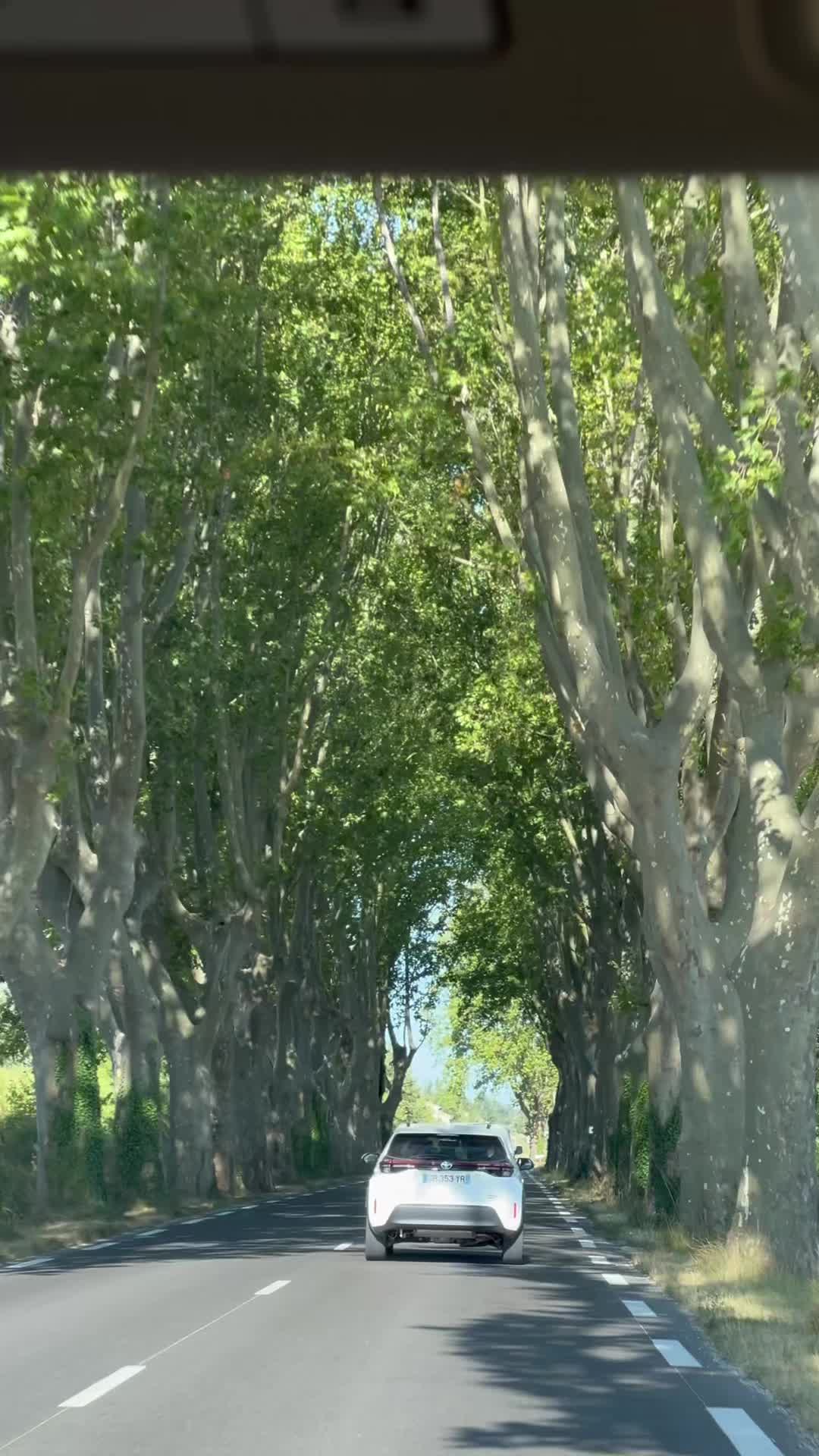 @msalazarbonafede