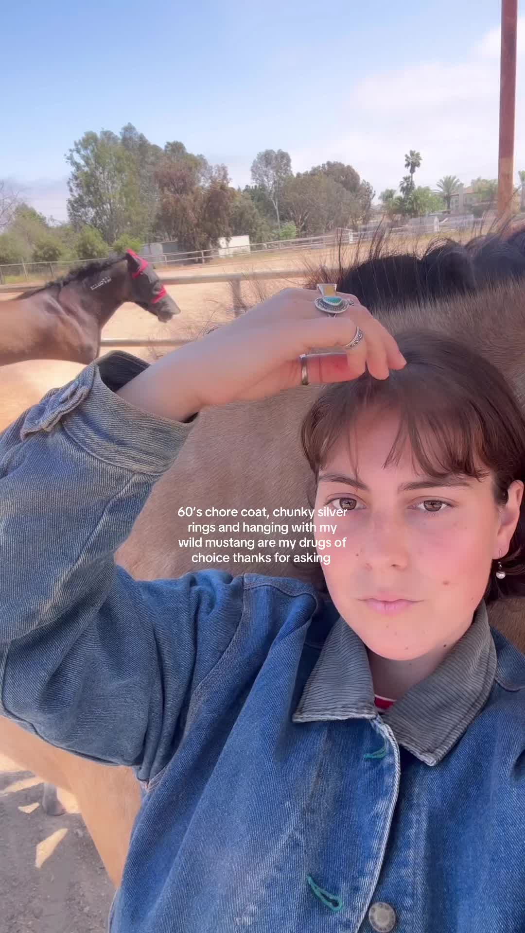 @Maya