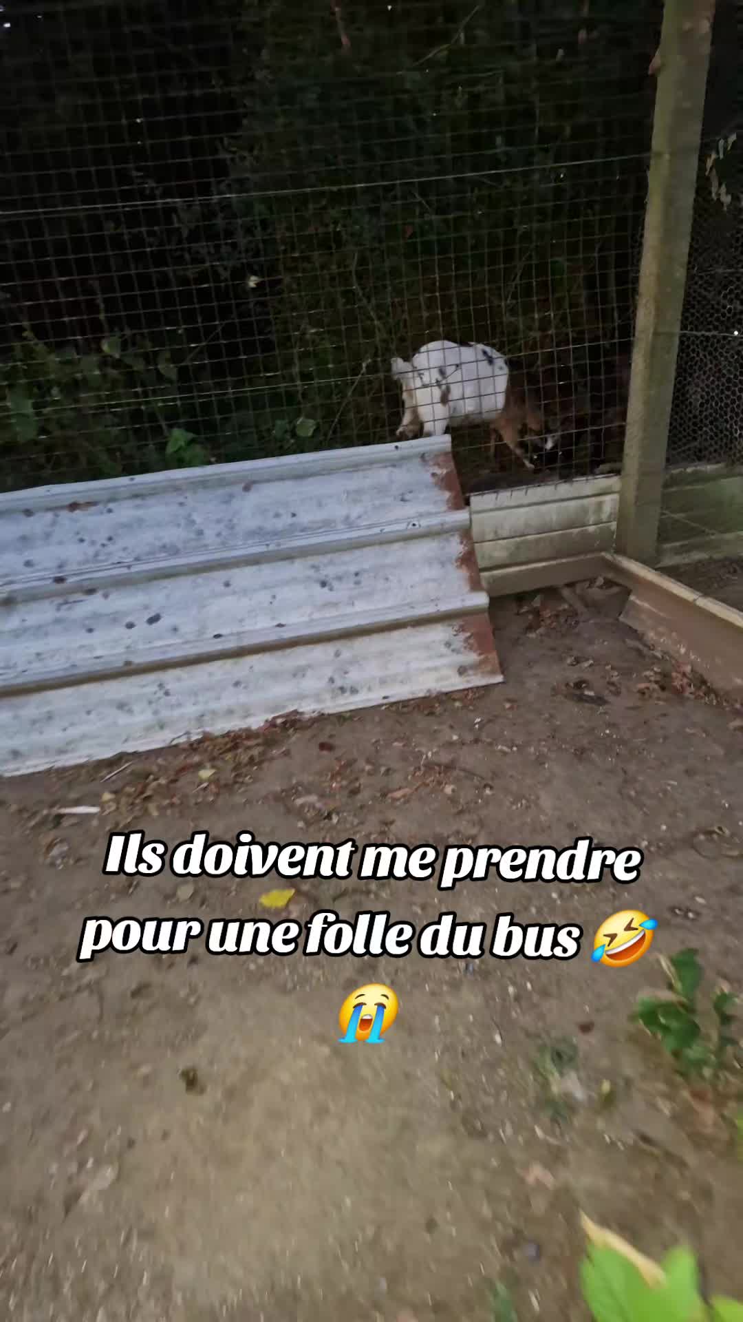 @ᴍᴜᴍ ᴅᴇ ᴍᴀᴛᴛ&iuml;ᴀ & ᴍᴀʀᴄᴇᴀᴜ 💙🦦