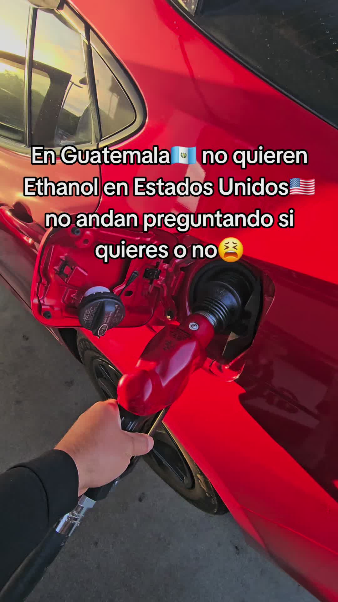 @♏️Estuardo🐦🔥🦁GT🇬🇹🦁🐦🔥
