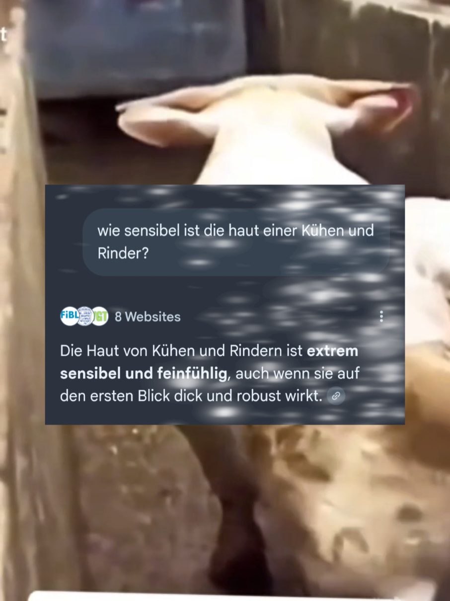 @VeganerTerrorist