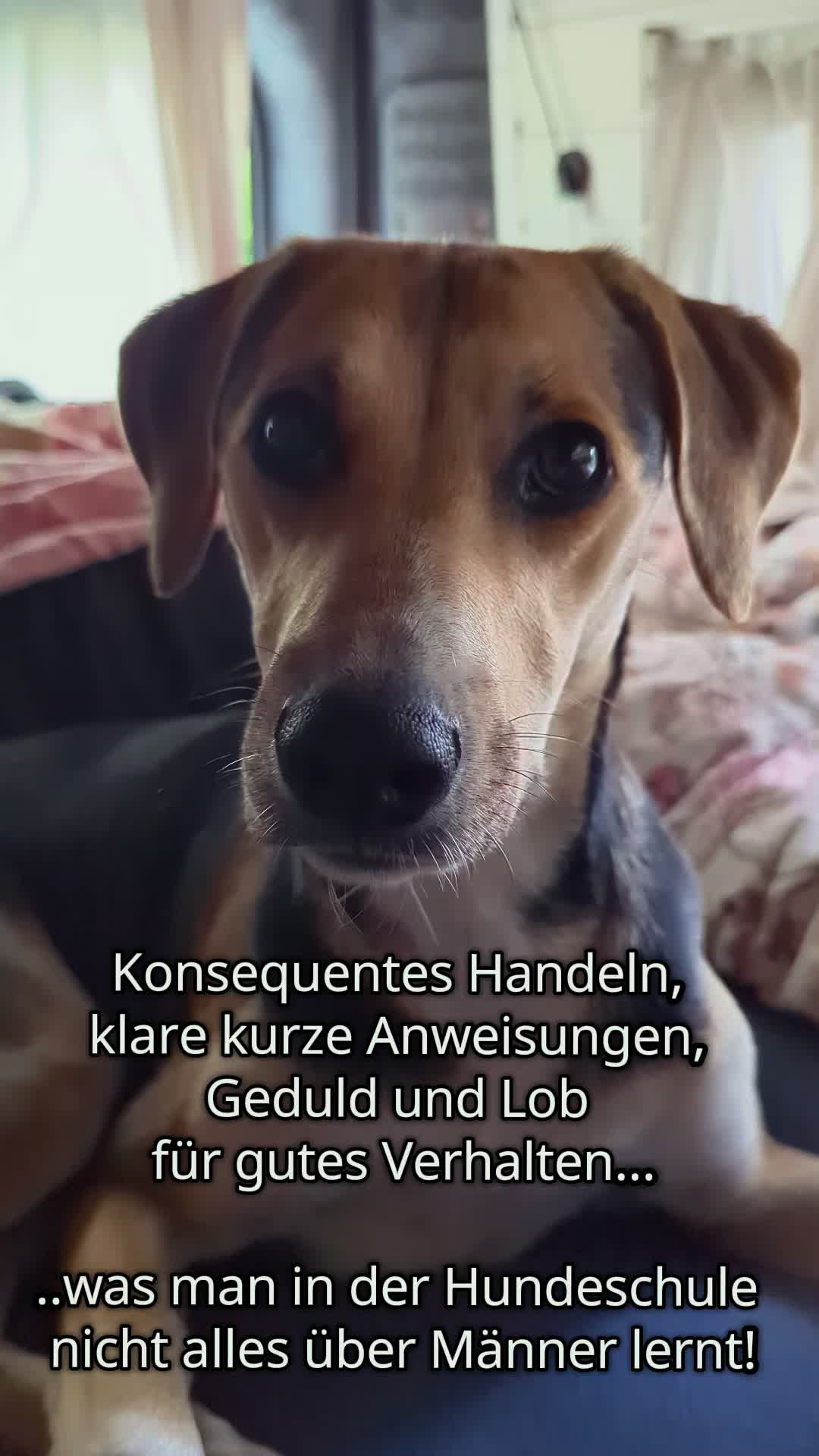 @ꪑⅈꪶꪖ ꪑꪮꪀᥴꫝꫝⅈᥴꫝⅈ
