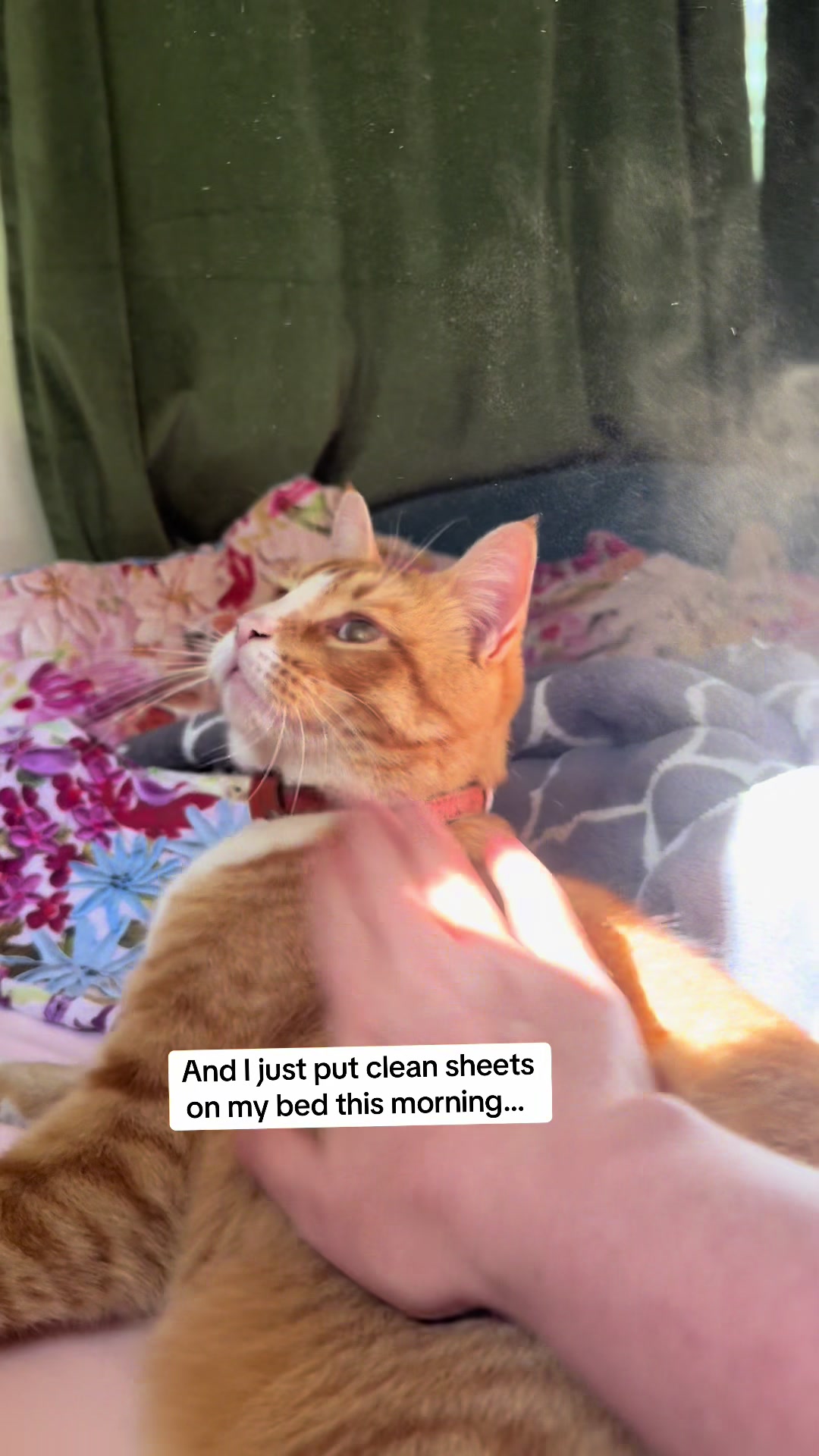 @DooDooCAT
