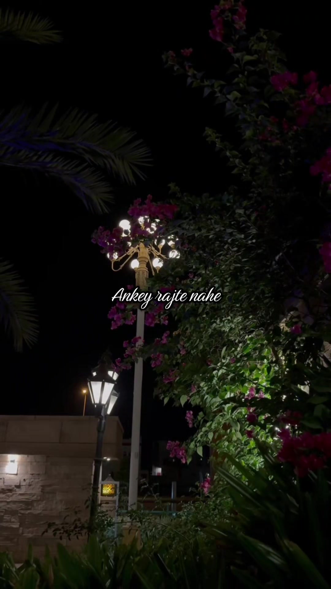 @ROSE