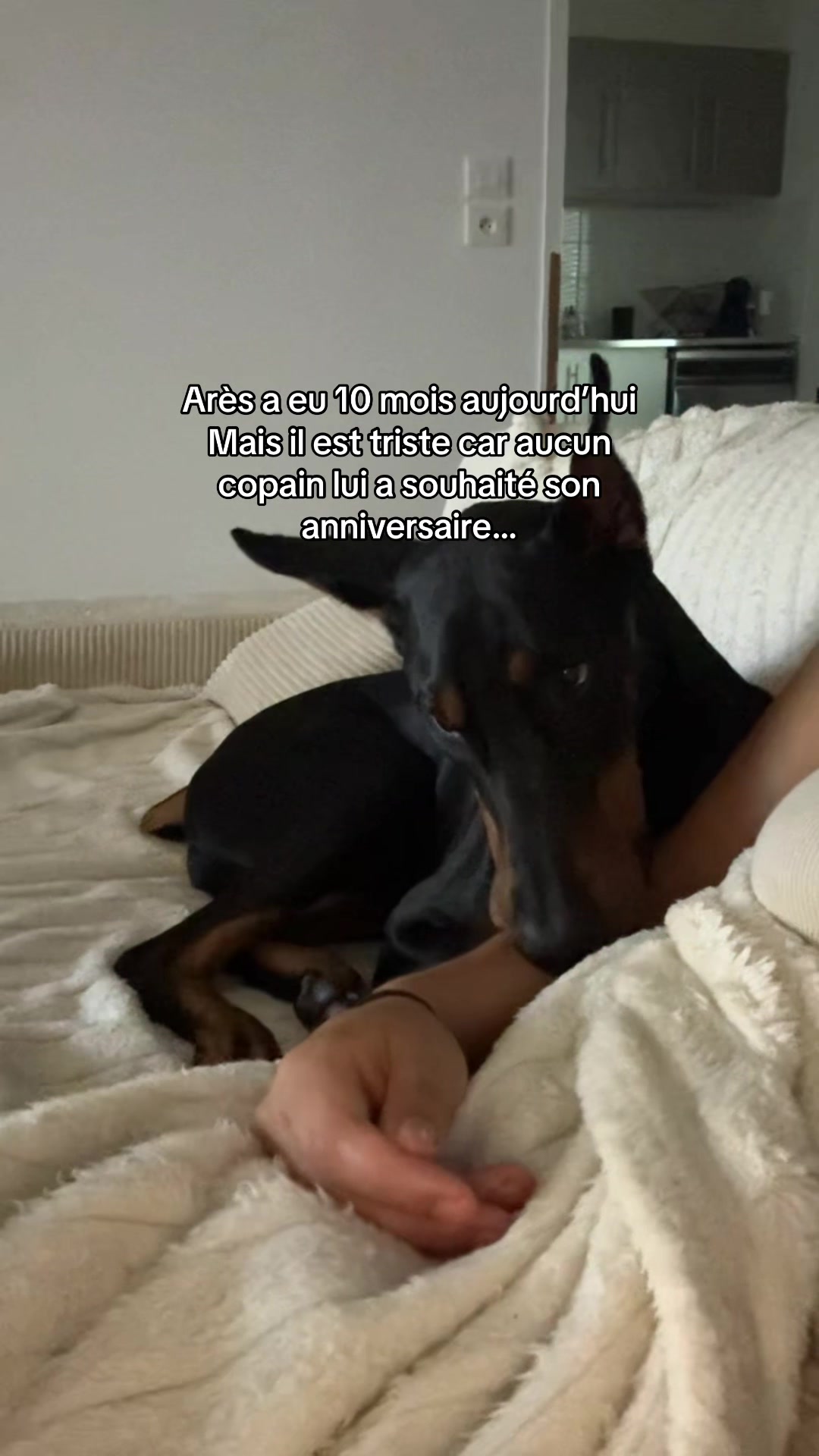 @Ar&egrave;s 🐶