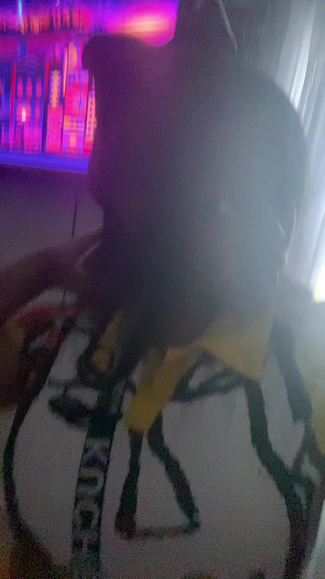 @๏ฟผ