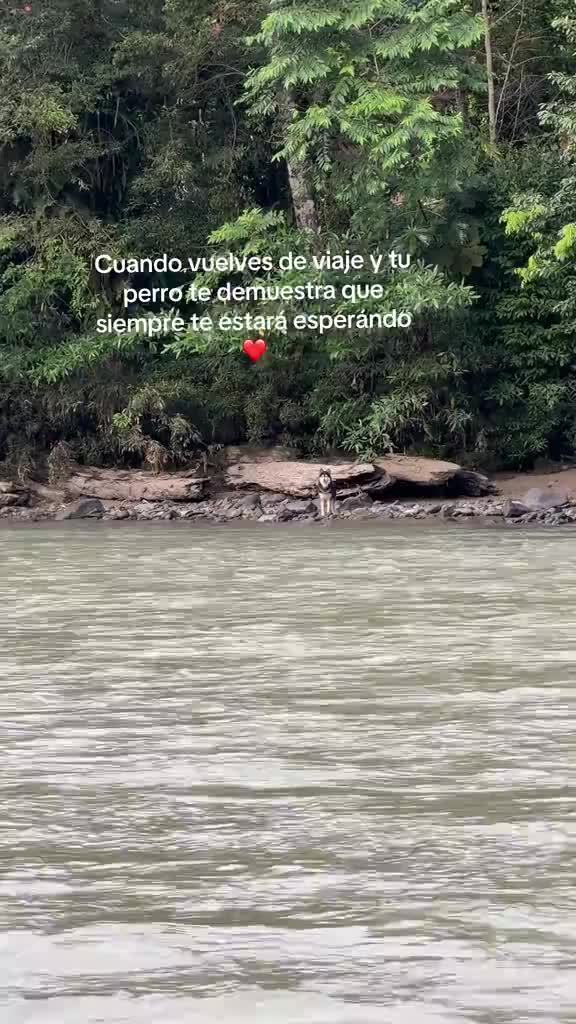 @Ruanger_motivacion