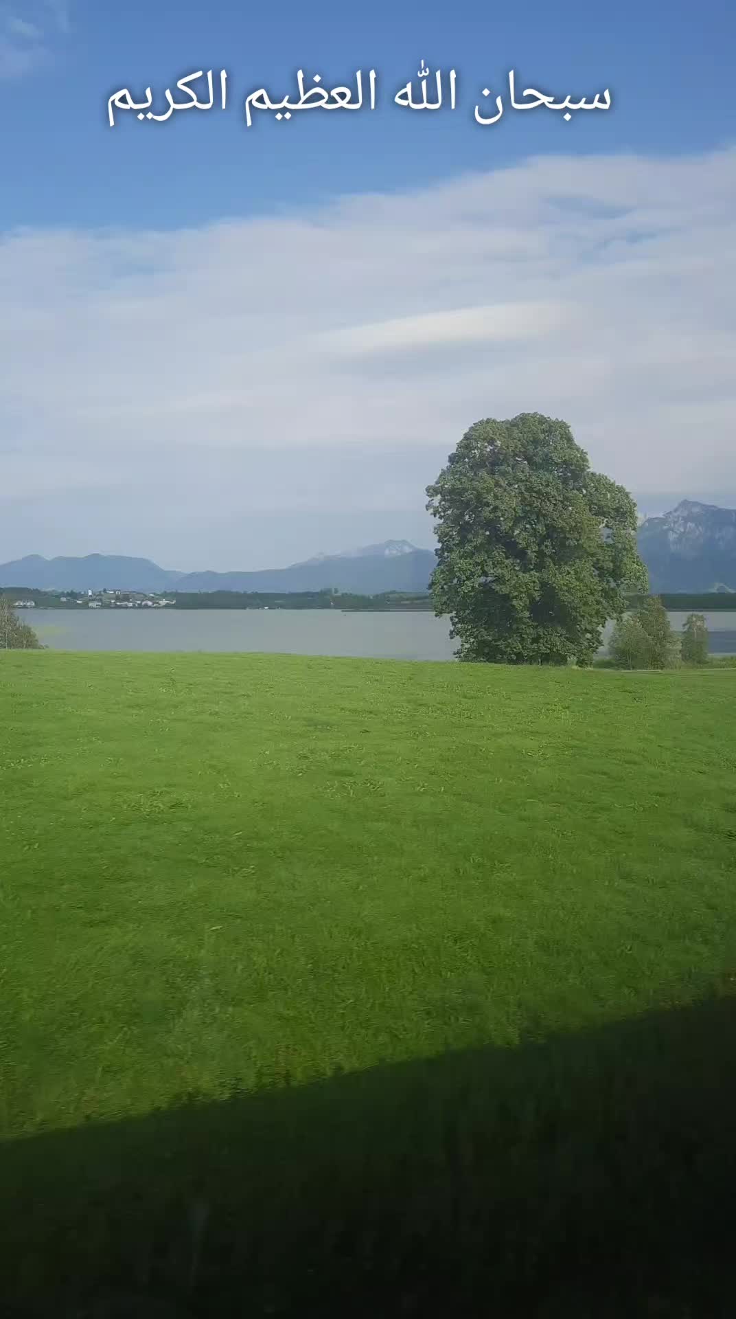 @Abojosef