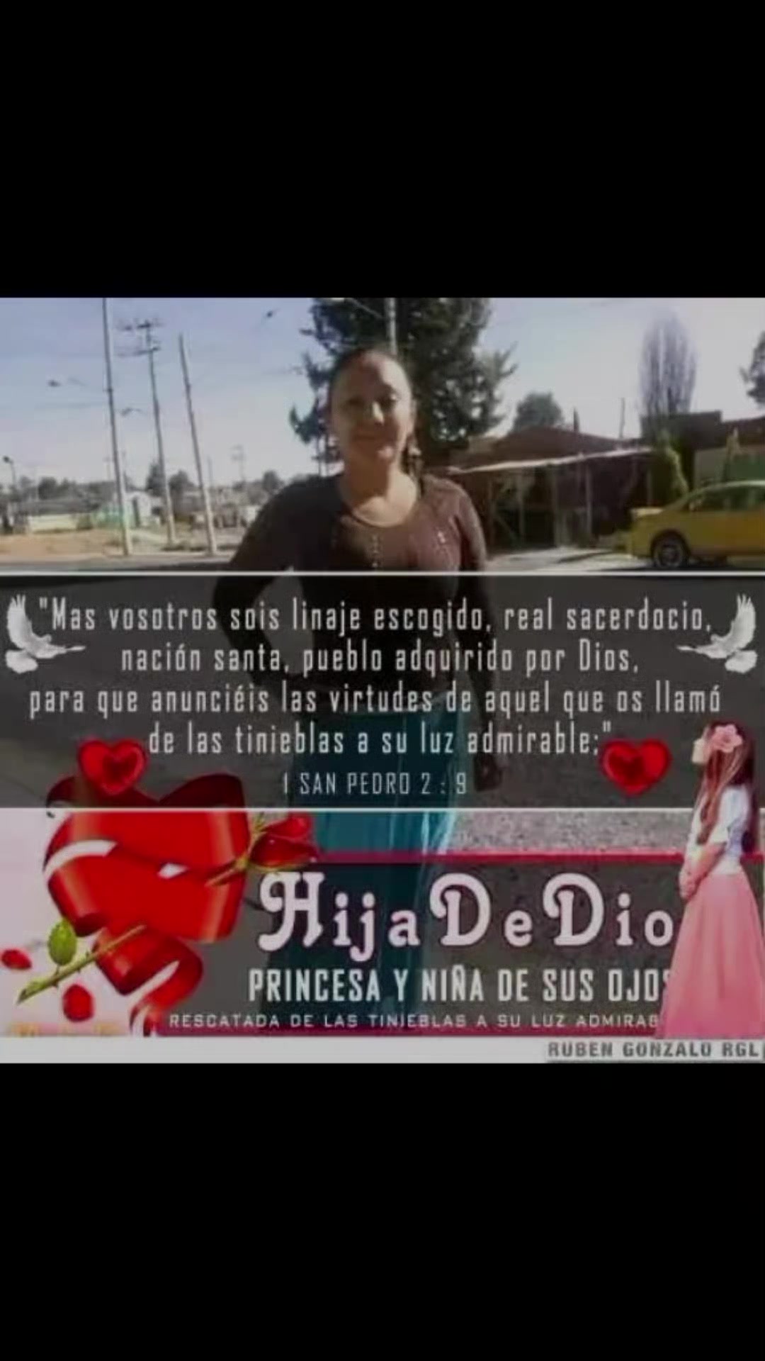 @palomita🕊️