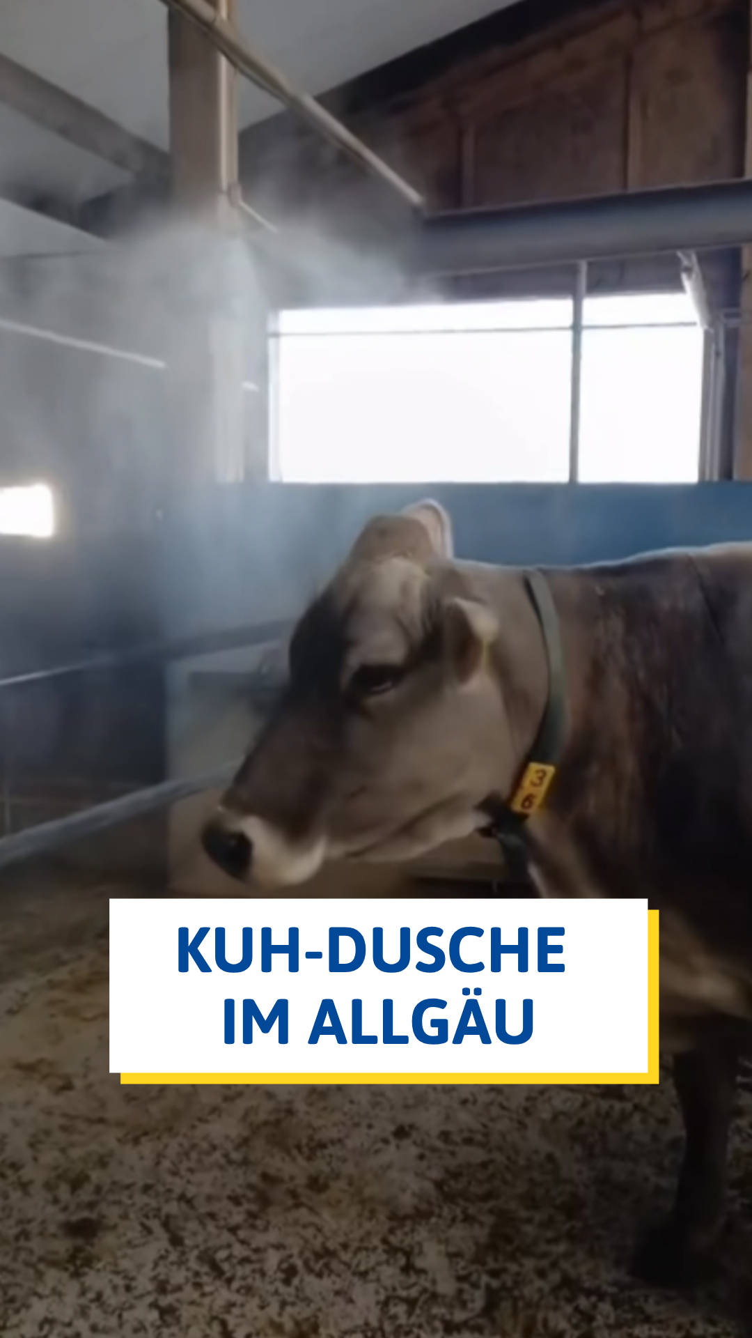 @ANTENNE BAYERN