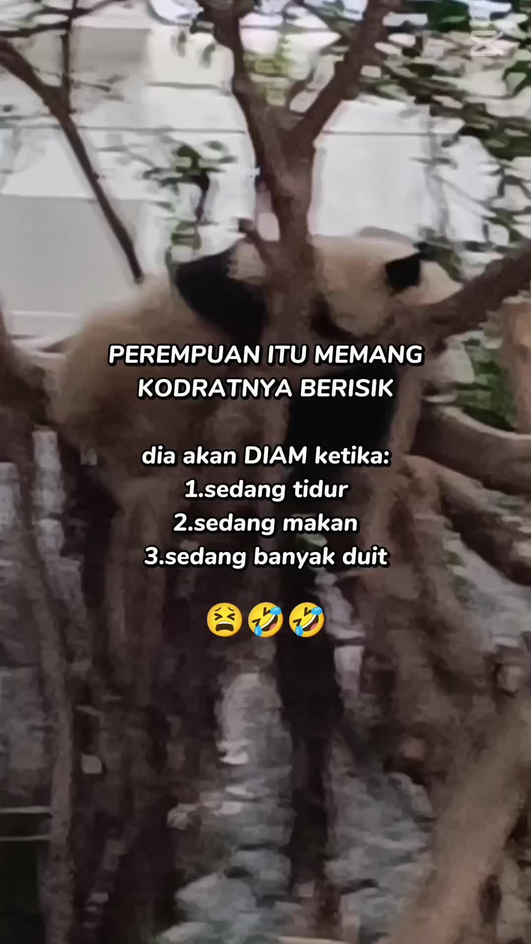 @Dewi Chan