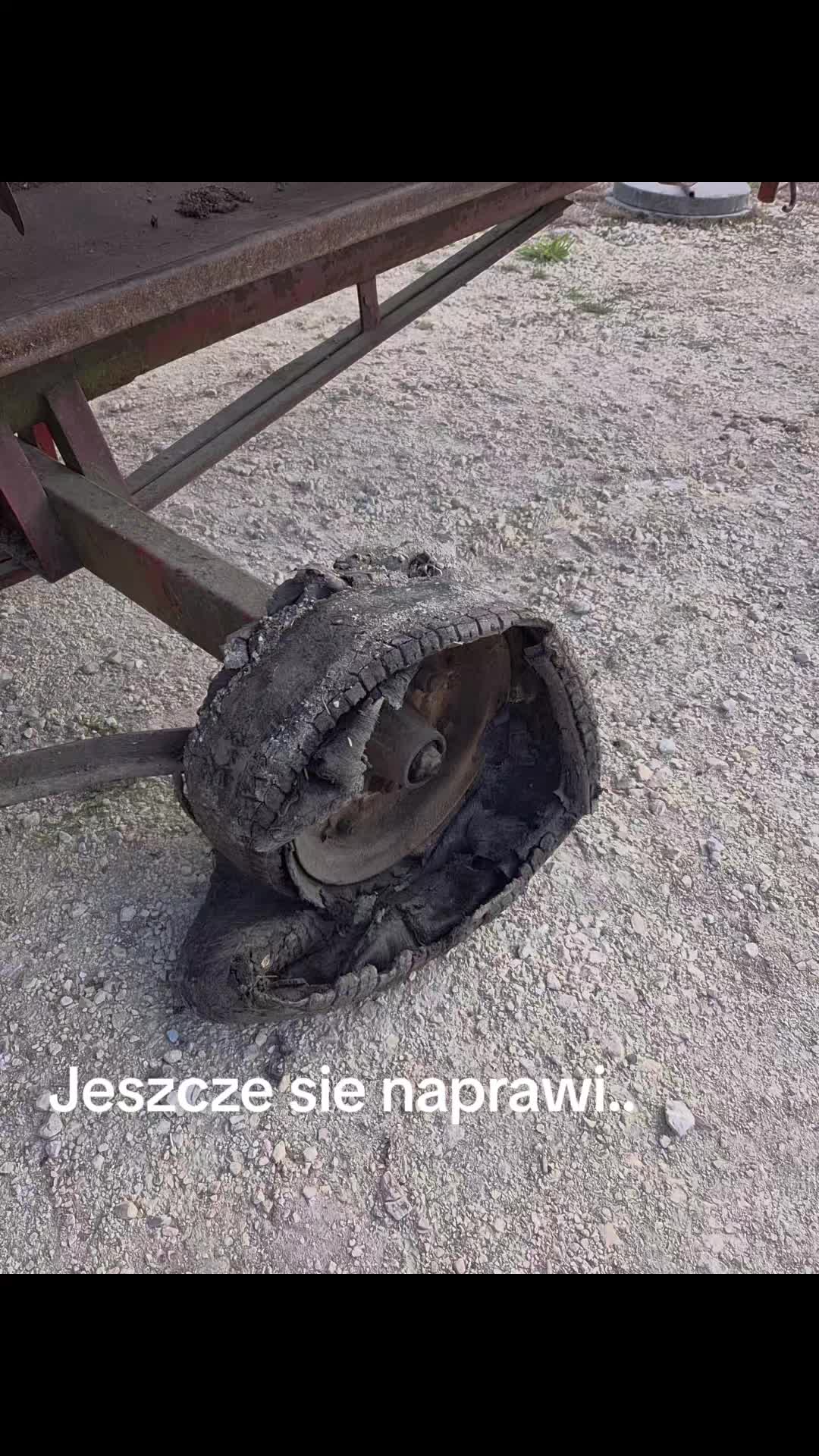@seszunia