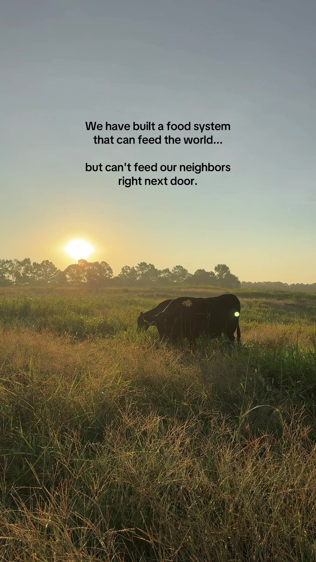 @Lily Hill Farm
