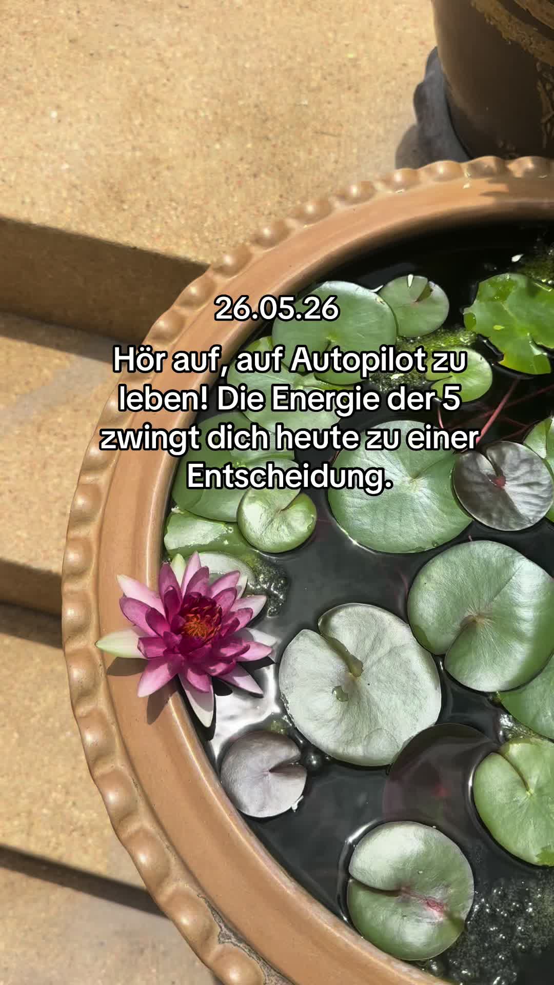 @numerologie_mit_kate