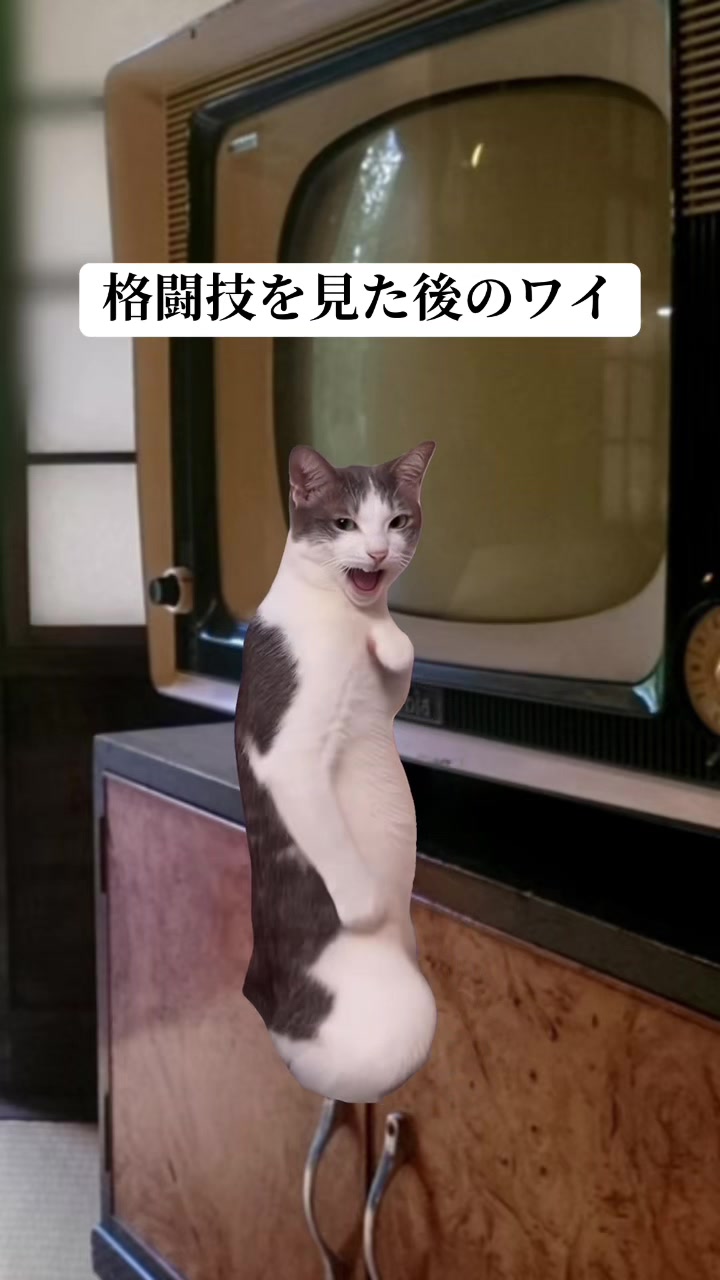 @面白ミーム