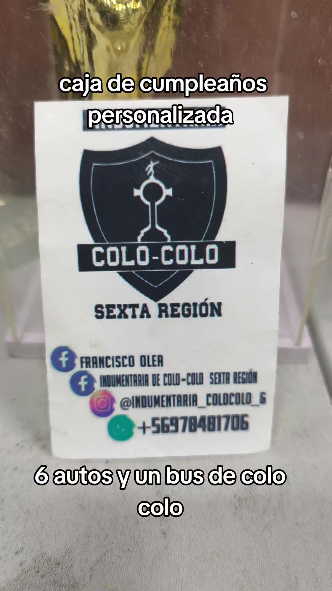 @indumentaria_colocolo_6