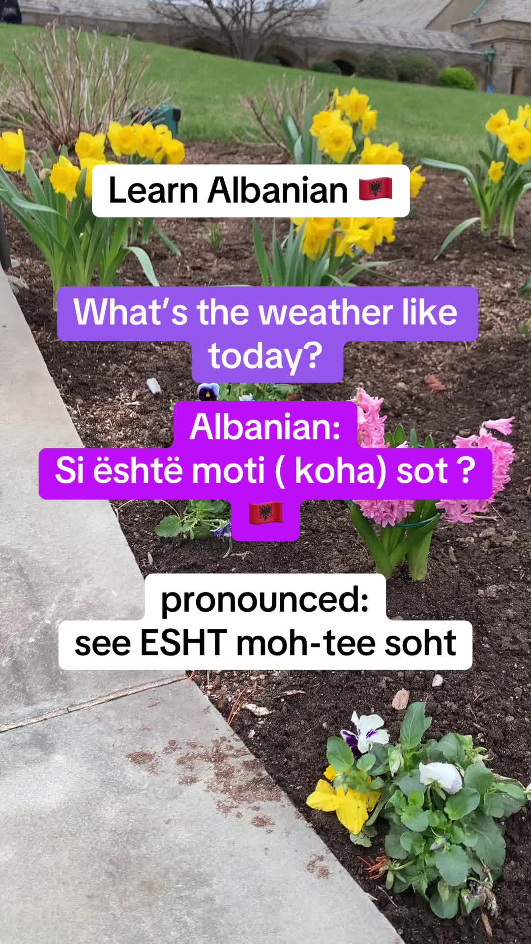 @Albana
