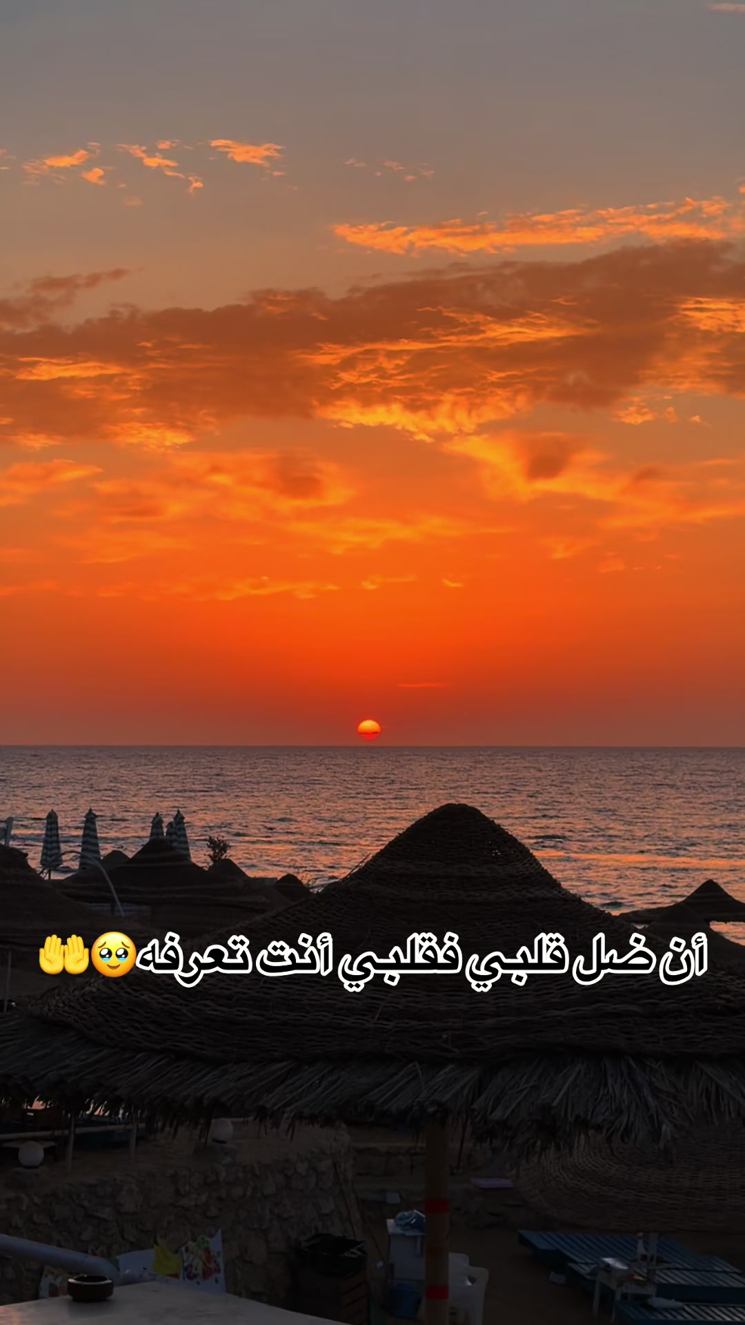 @كيداهم 👑❤️