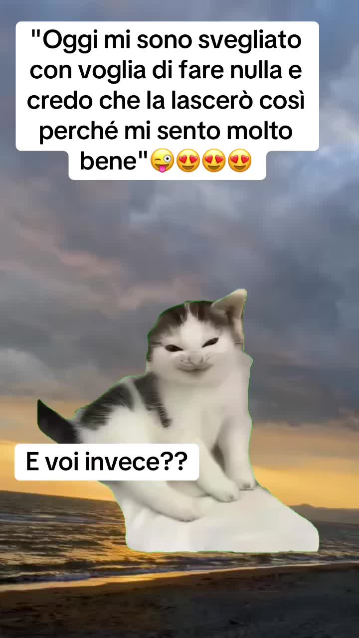 @LOLSempre😜😜