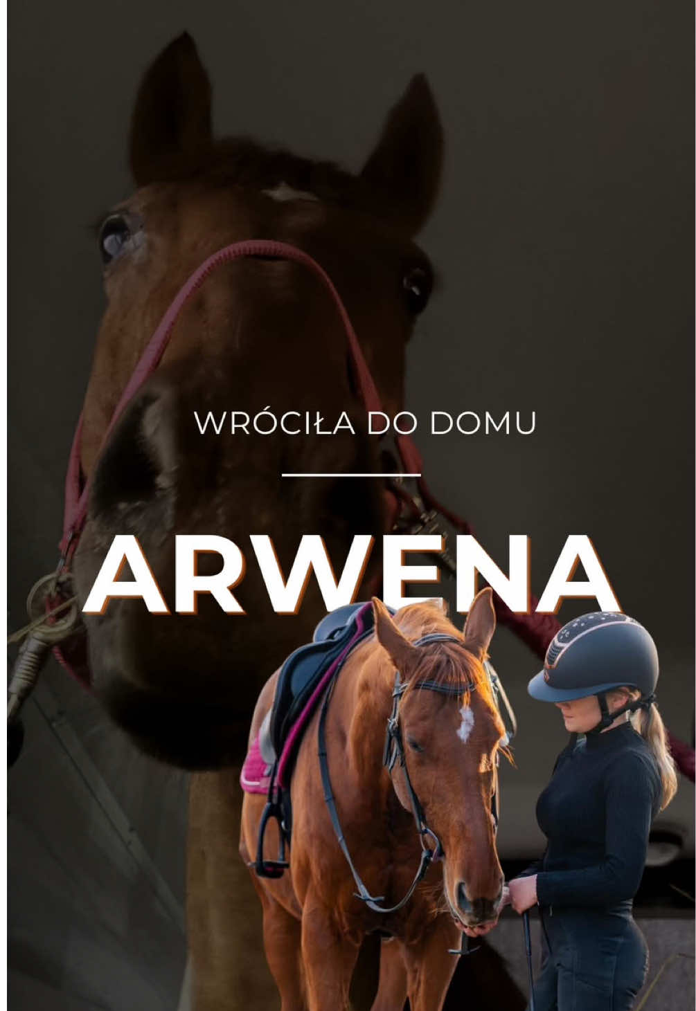 @Harmonia Jeździectwa