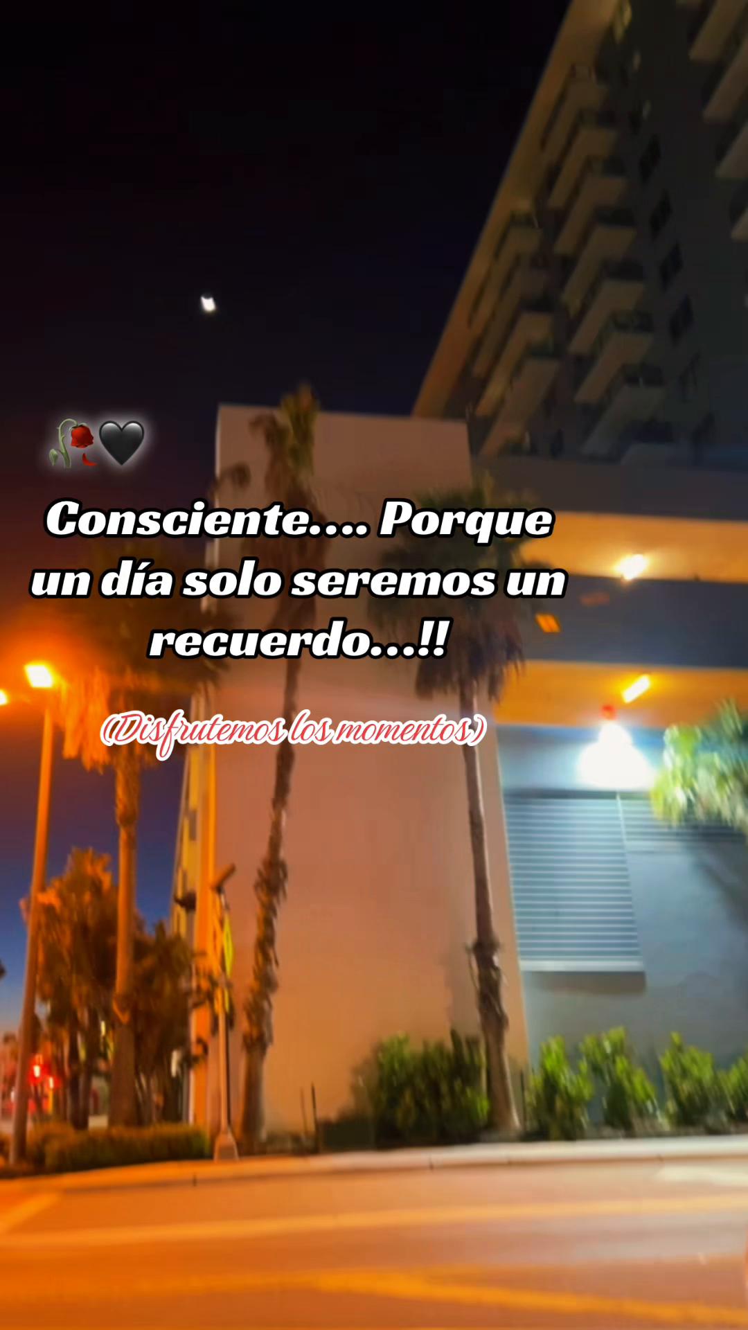 @🦋Bbcita🌻🇺🇸🌙