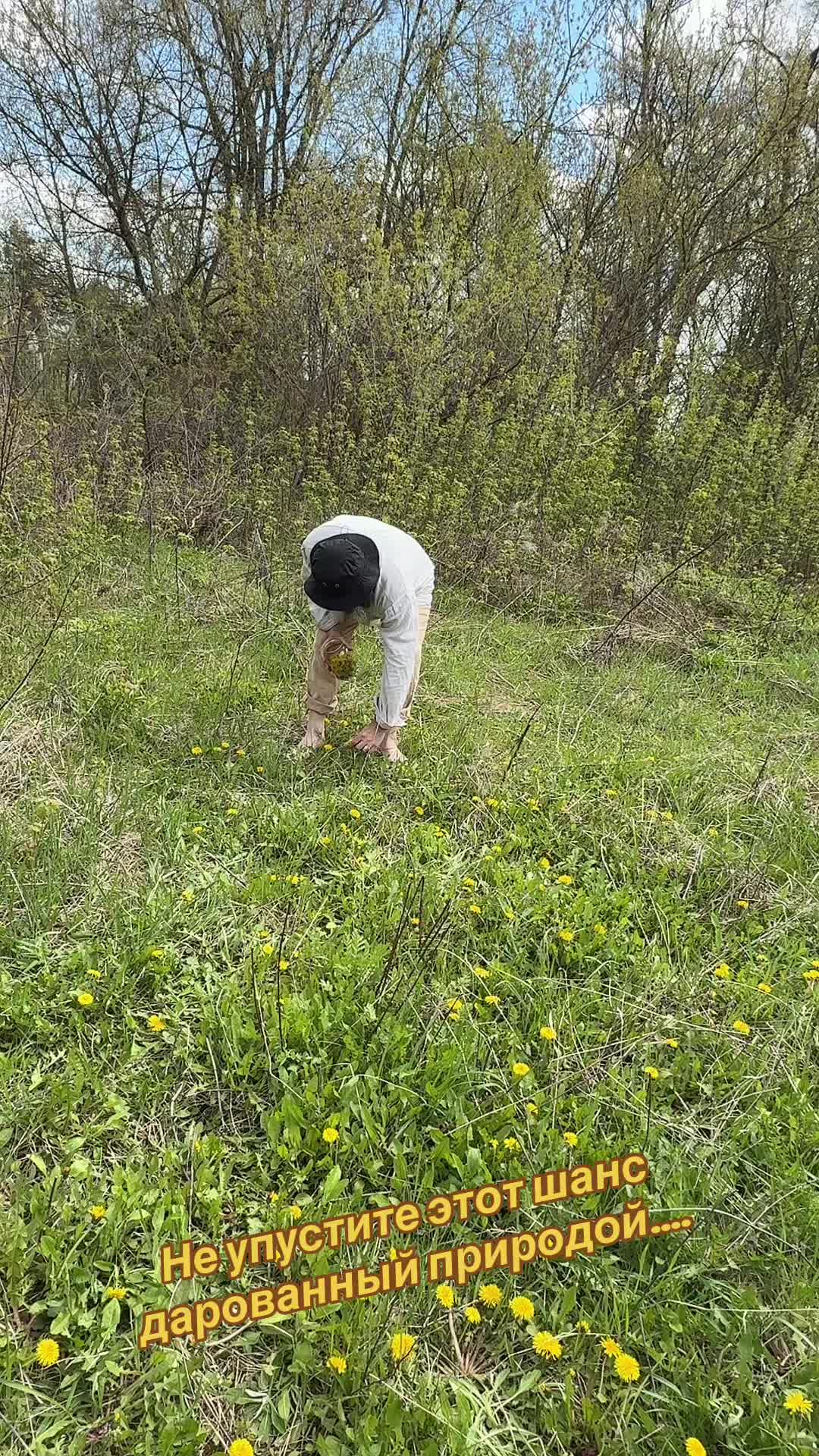@СЕРЁГА БОРОДА