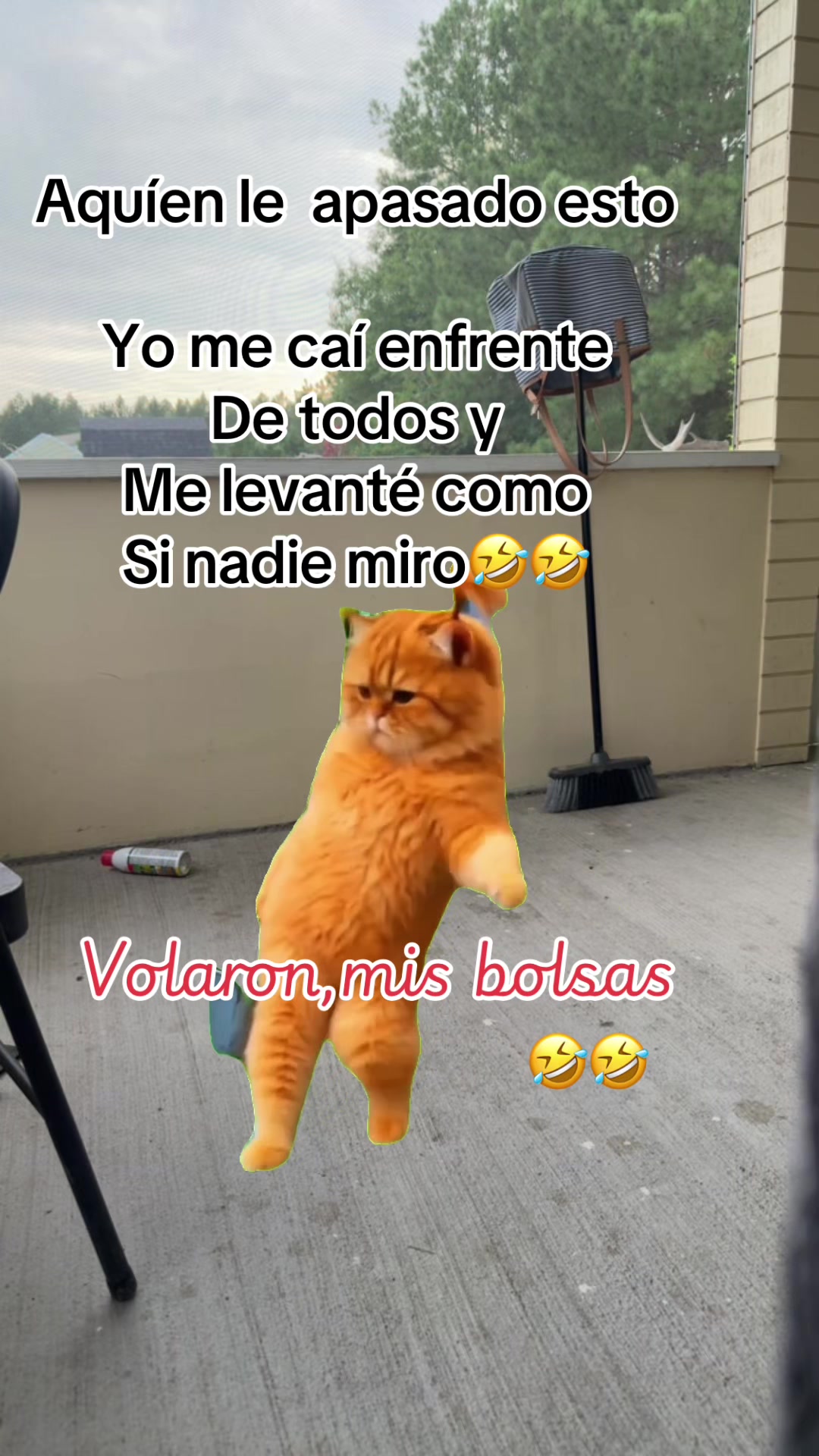 @RosaLinda 🌹🌹🌹