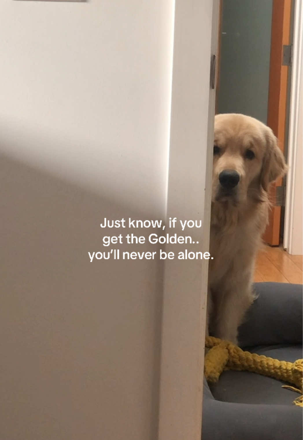 @Chase n Chester