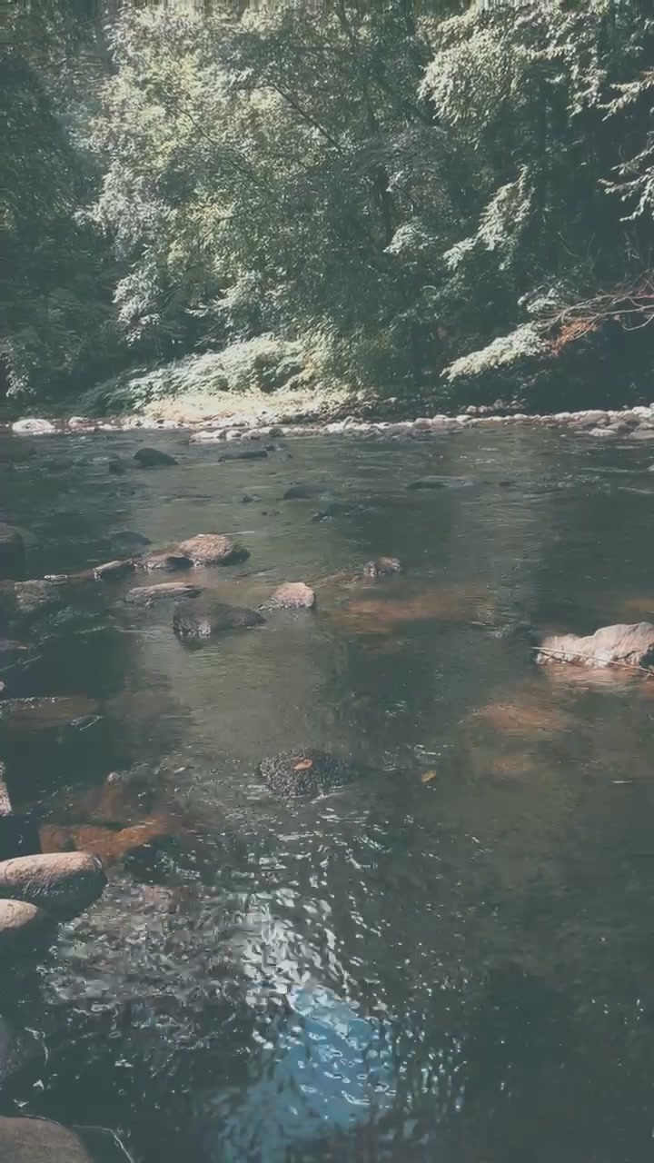 @NikkiDarling1994