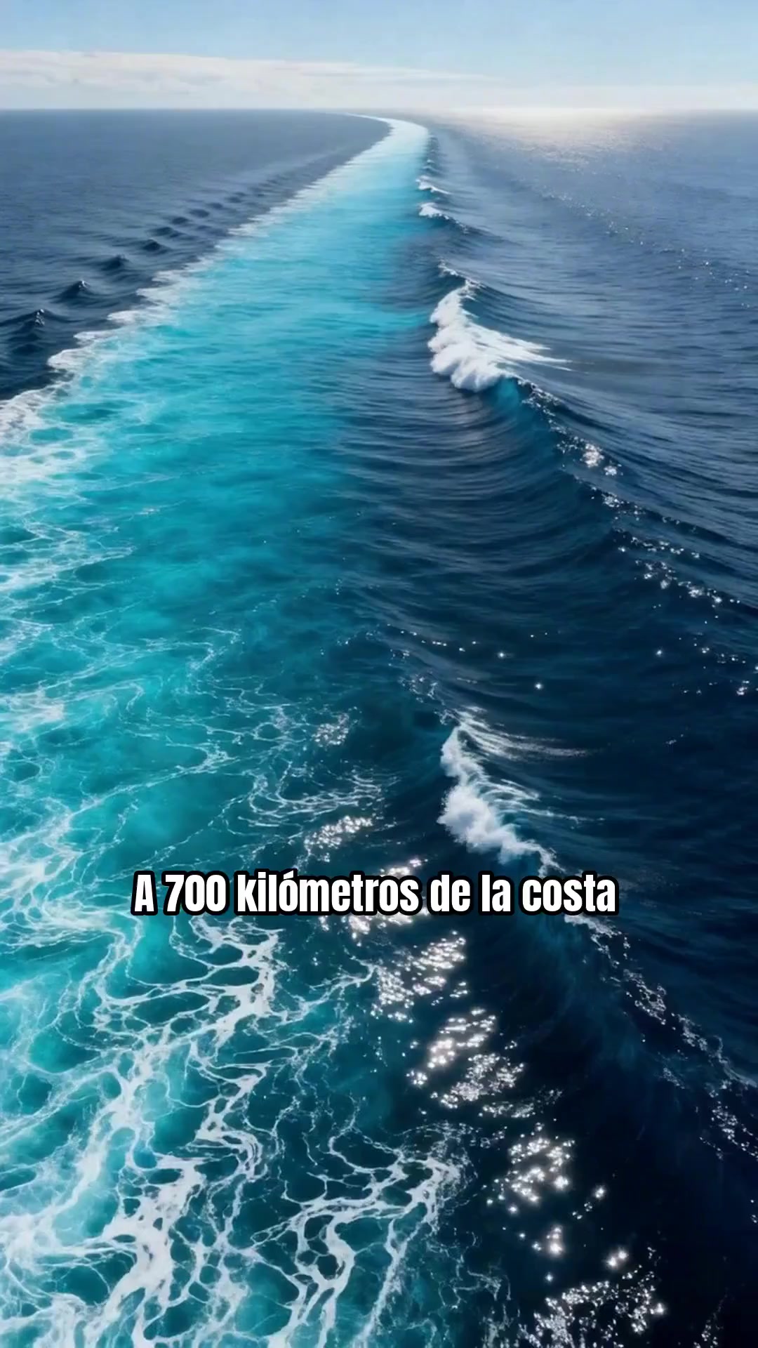 @🐉AldoGtzU🇲🇽 🩵🕉️🦁🦋🎧🦦🌛