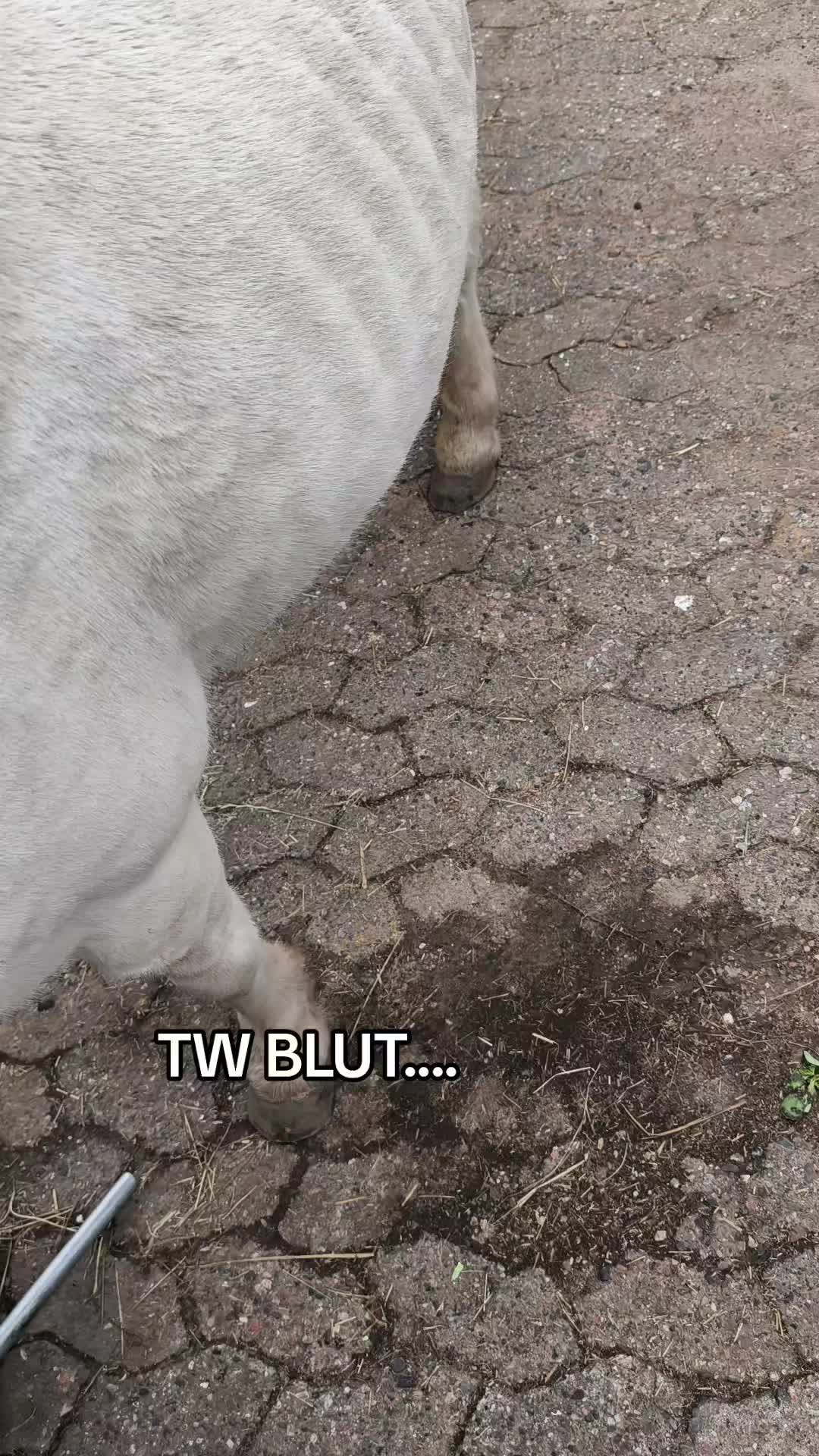 @tiffany_mein_glueckk