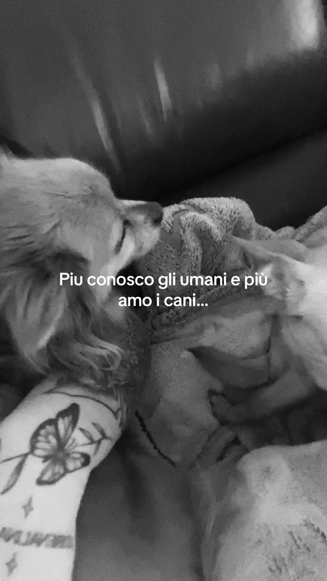 @Rossella_.volpe