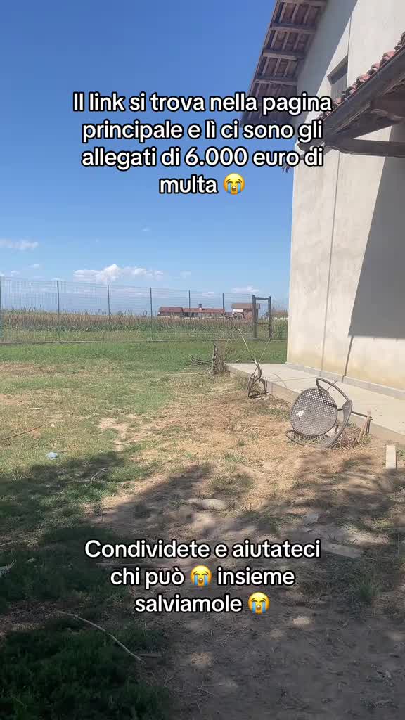 @KIRA❤️LEYLA💙