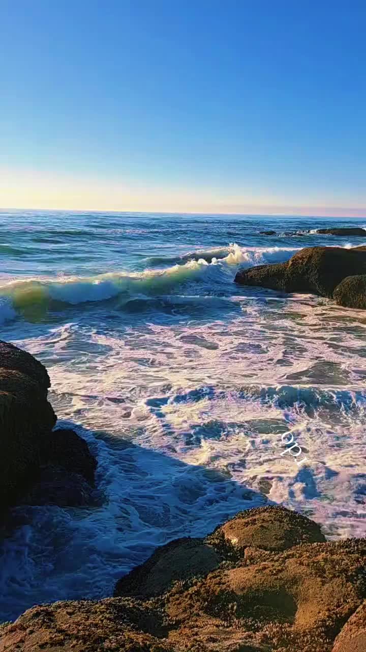 @rdomontana