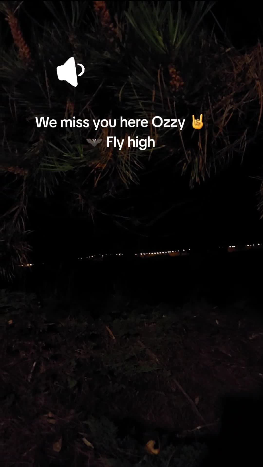 @heyymikkie